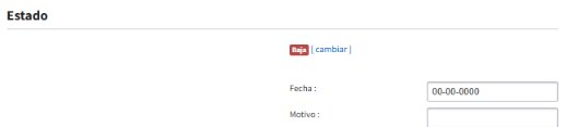 Activo en estado Baja con fecha y motivo