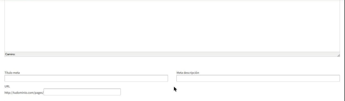Datos SEO y URL de la p&aacute;gina